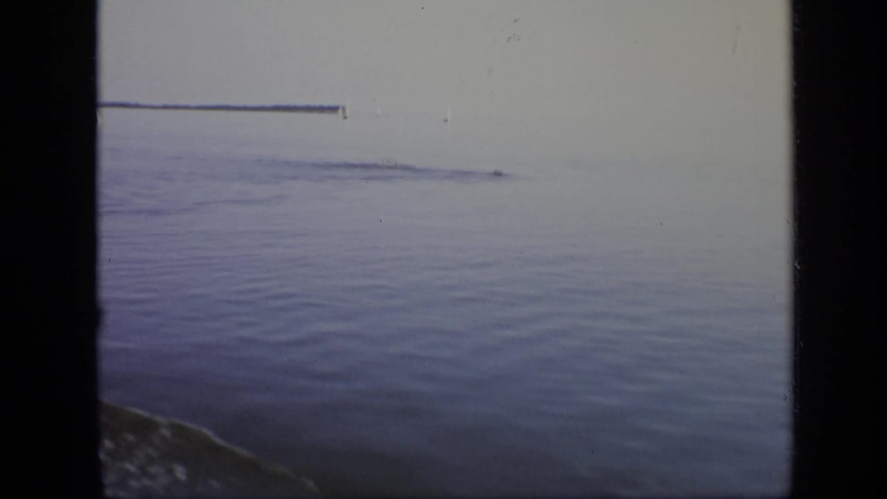 Calm open water with a faint distant line near the horizon.
