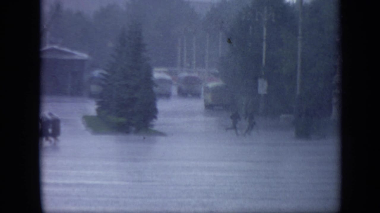 Rainy paved area with pedestrians, trees, poles, and blurred vehicles or structures in the distance.