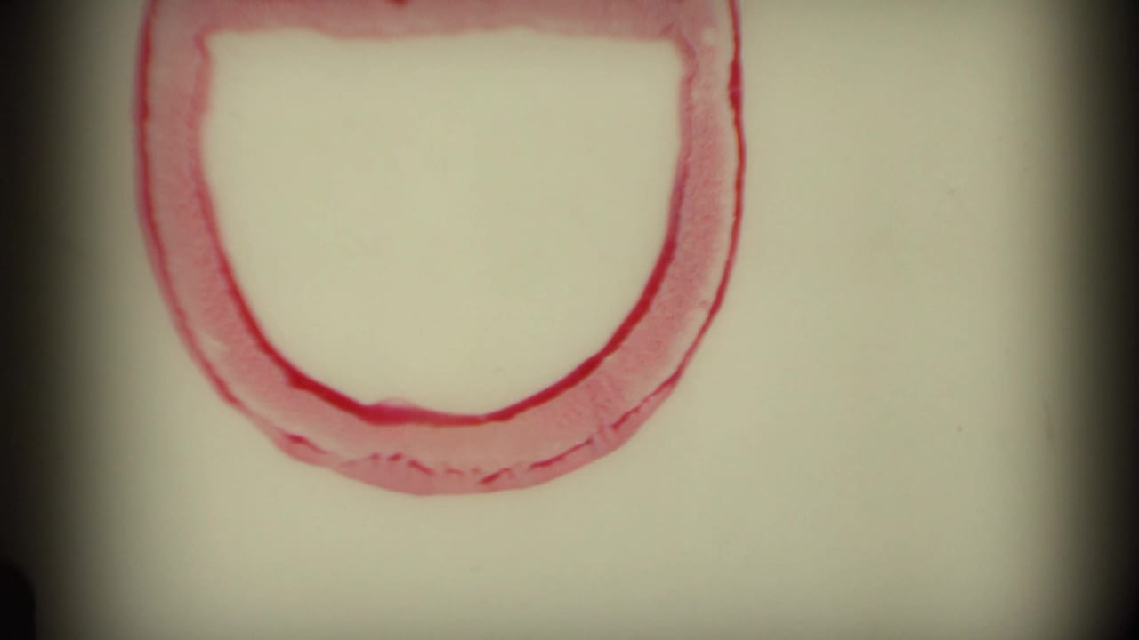 Pale film frame with a red circular border marking near the top edge.