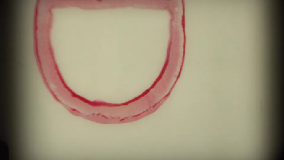 Pale 8mm frame with a red hand-drawn or printed circular marking and dark gate edges after the end title.
