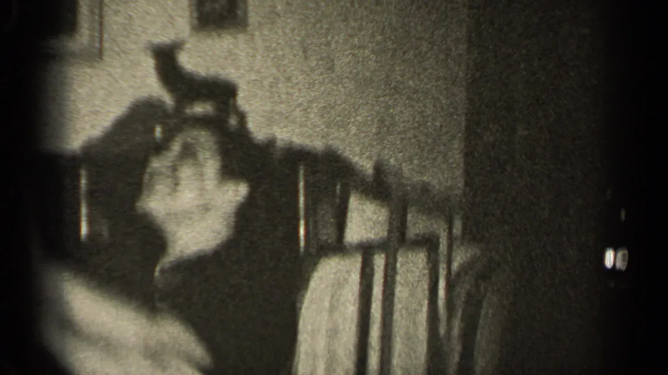 The woman lies back near a chair while a strong shadow, possibly from a bird-shaped object, falls across the wall above her.