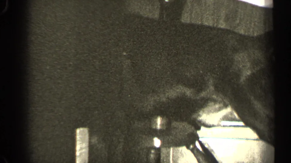 A dog wearing a harness moves through a low-lit 1947 Illinois interior, partly blurred by motion and grain.