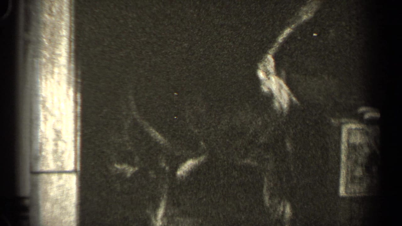 Dark puppy near chair legs in a dim interior room.