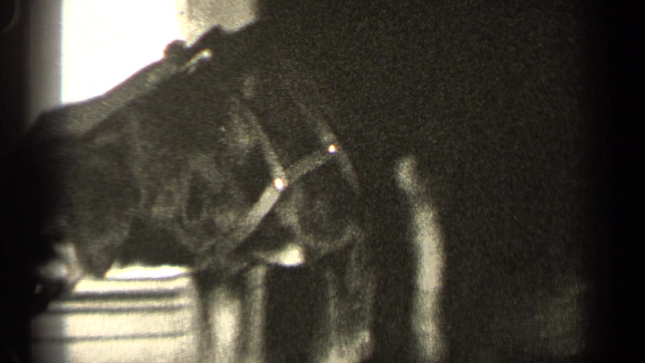 Puppy sniffs near a pail or container beside furniture.