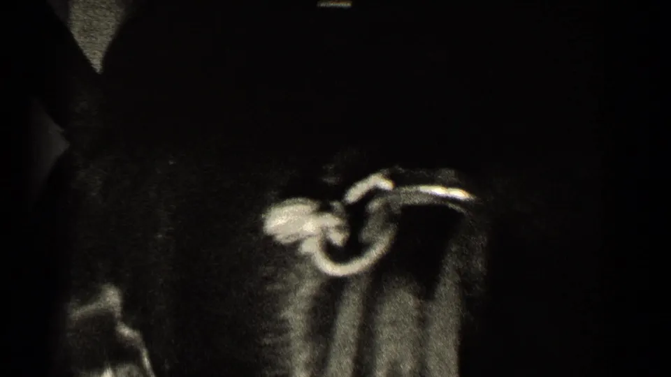 A dark puppy moves through a shadowed domestic interior in soft, high-contrast 8mm footage.