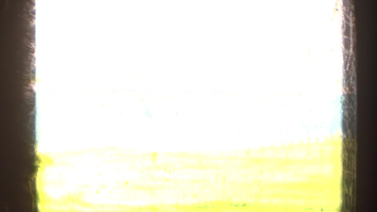 Overexposed view with pale sky and a yellow-green horizontal band near the bottom.