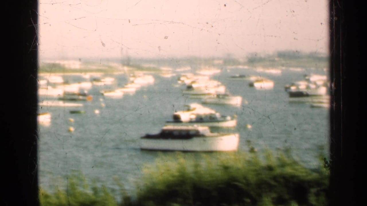 Small boats on a harbor seen through dark vertical window bars with foliage below.