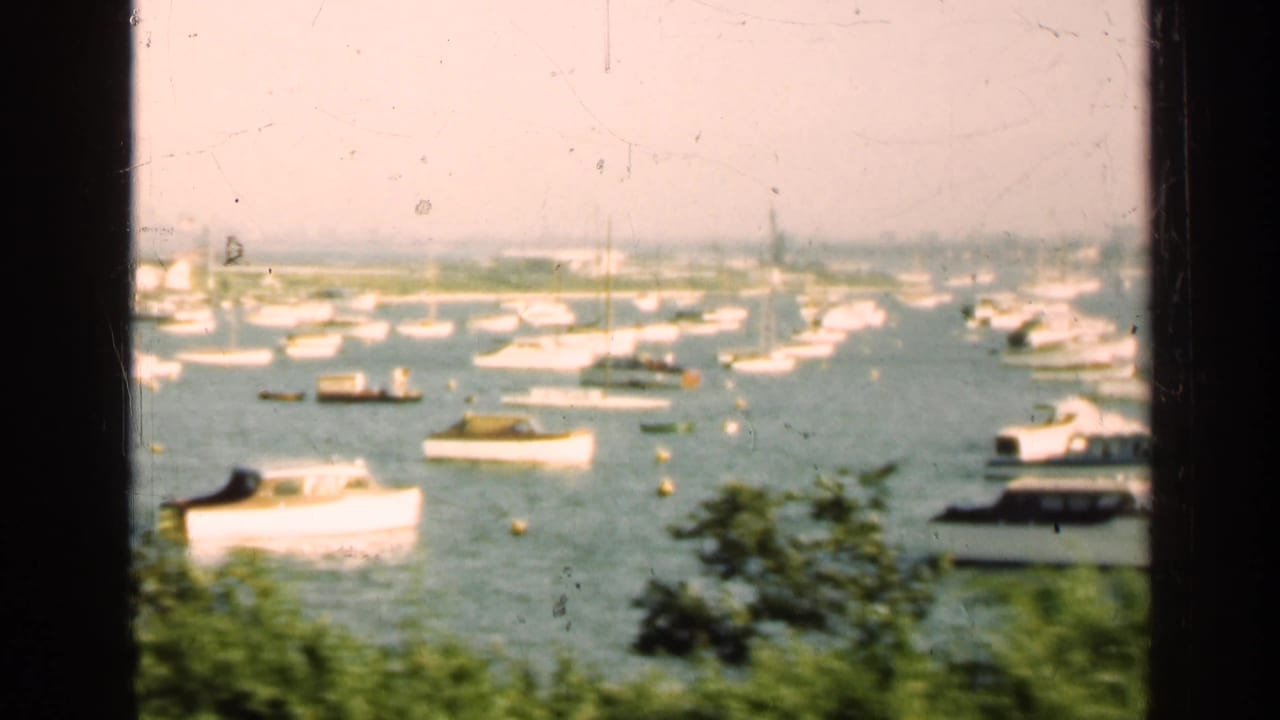 Warm 8mm frame showing boats across an Illinois harbor, with shrubs in the foreground and dark vertical frame edges.