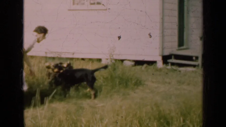 A black dog stands in the grassy yard beside the light-sided house, with a person partly visible at the frame edge.
