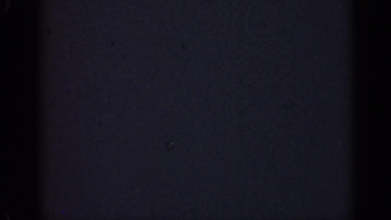 Dark frame with subtle grain, faint specks, and a vertical divider at the left edge.