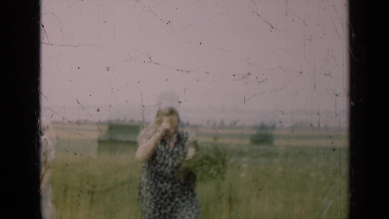 A woman in a patterned dress holds greenery while standing in tall grass.