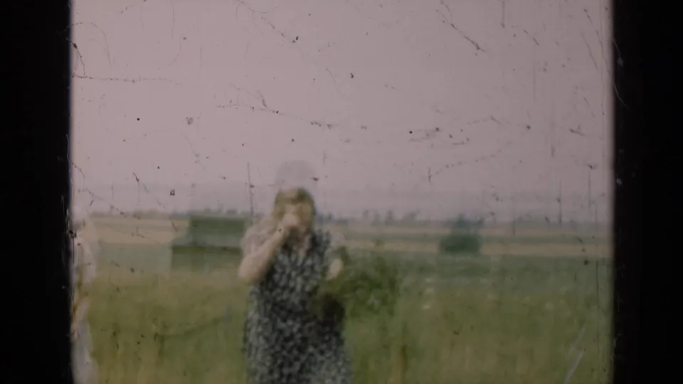 A woman in a patterned dress holds a bundle of greenery in a 1947 Illinois field, with open farmland under a pale sky.