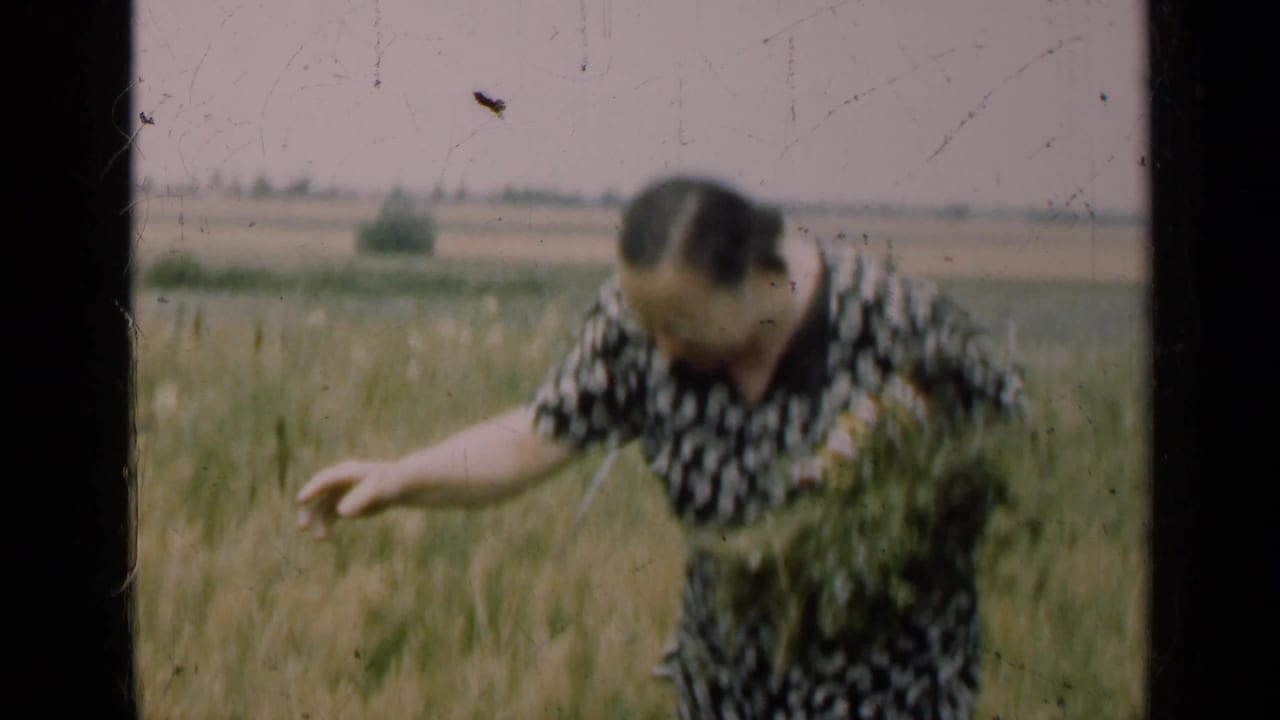 In 1947 Illinois home-movie footage, a woman in a patterned dress bends among tall field growth while holding gathered plants.