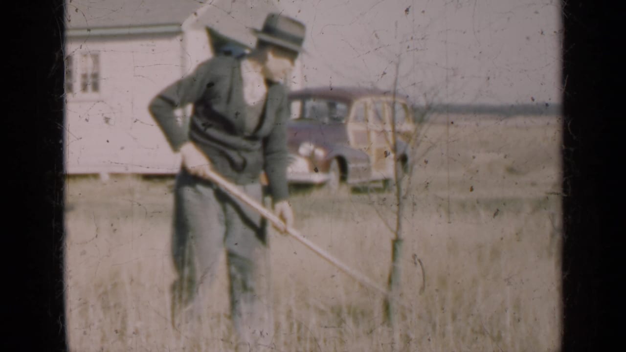 Man bends slightly while raking grass beside a small tree and parked car.