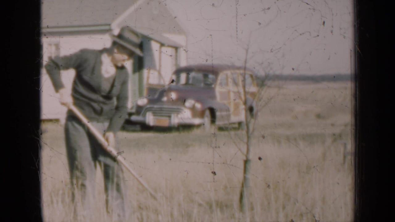 Man in hat works around a young tree in a grassy yard with a house and station wagon behind him.