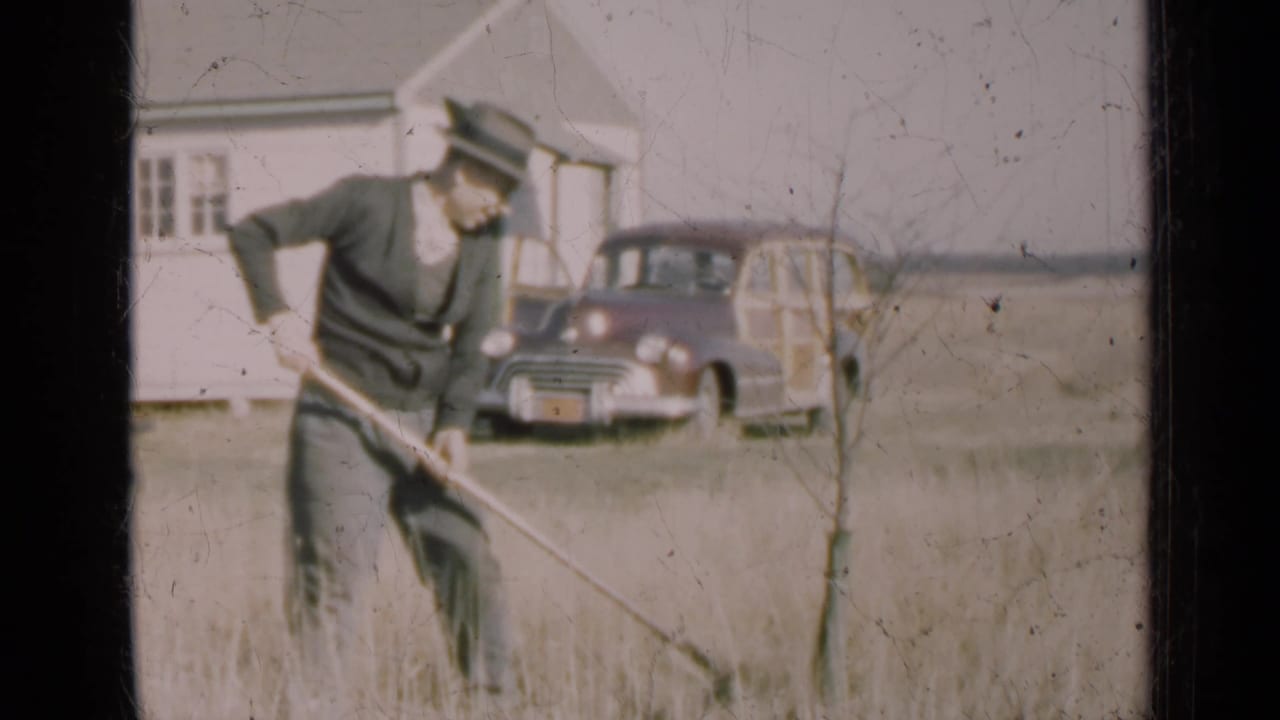 The man continues tending the young tree in a rural Illinois yard, with a wood-paneled station wagon parked near the house.