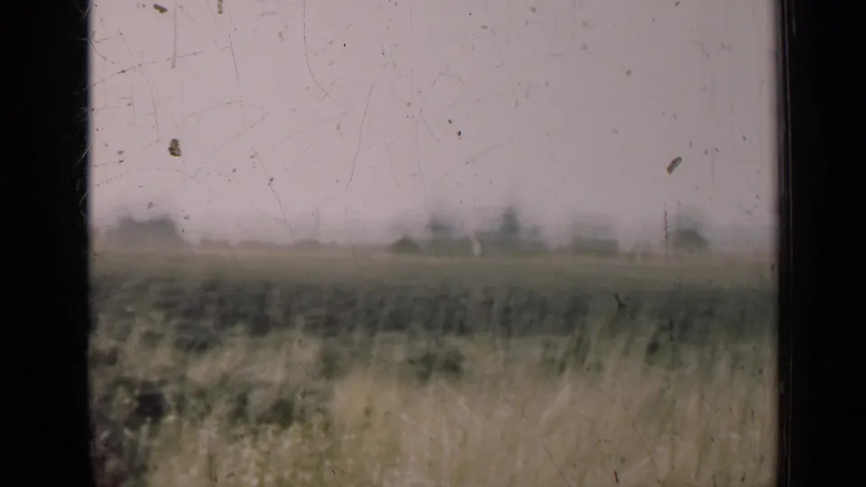 Illinois farmland is seen through a dark frame edge, with foreground grasses, plowed land, and soft distant structures under a pale sky.