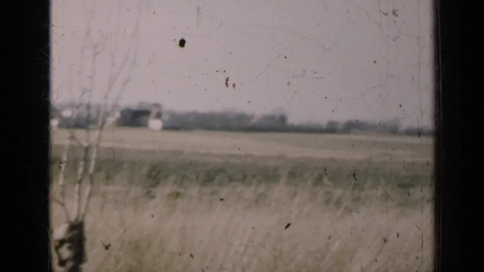 The 1947 Illinois countryside appears through a scratched window, with a field, tree branches, and small distant buildings.