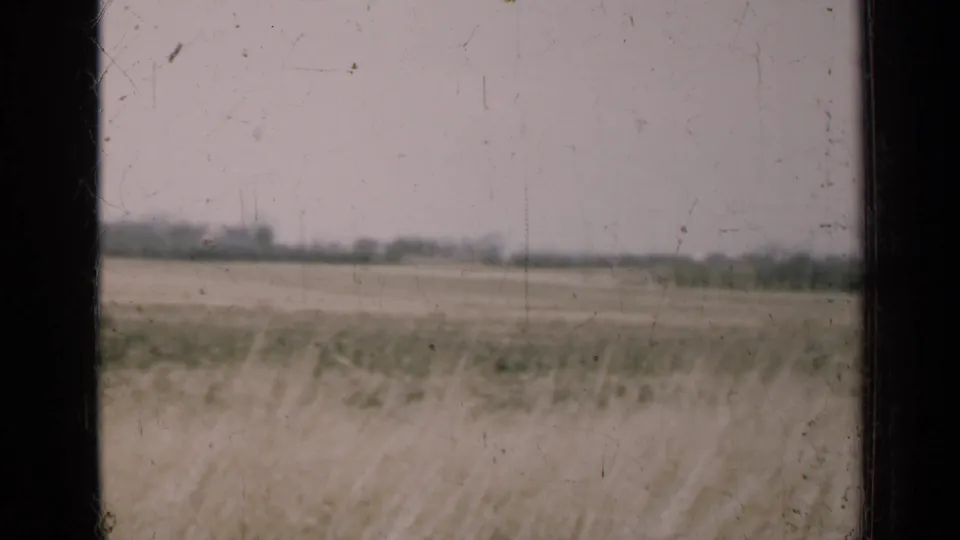 A muted 8mm Illinois farm landscape shows open ground and a distant tree line through a dusty window frame.