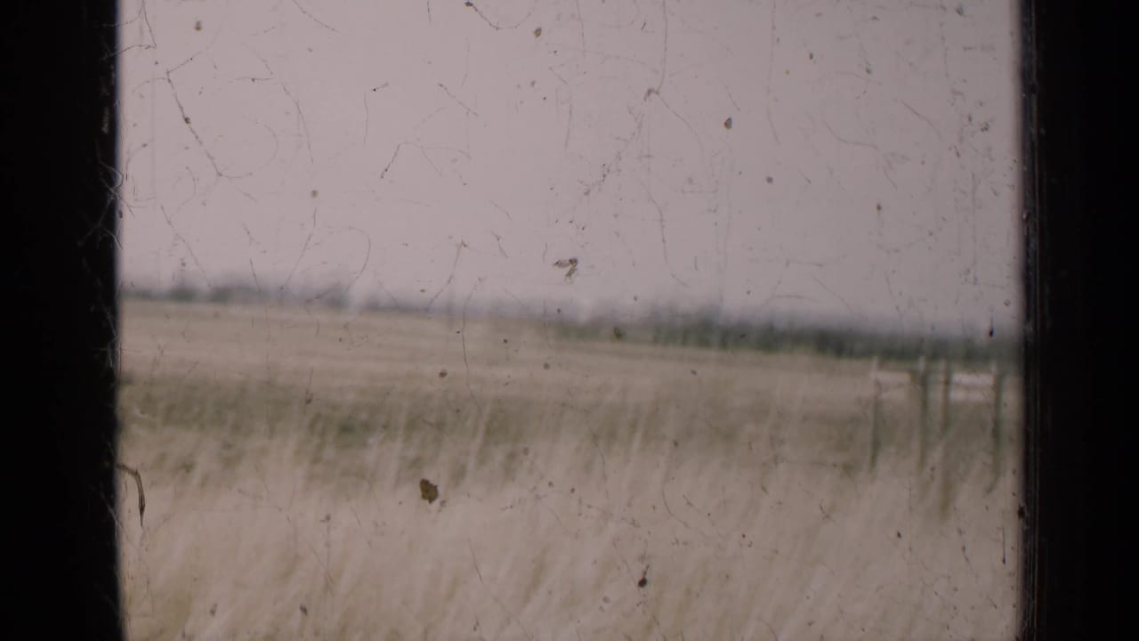 Rural field seen through dark window framing with tall grass and a distant horizon.