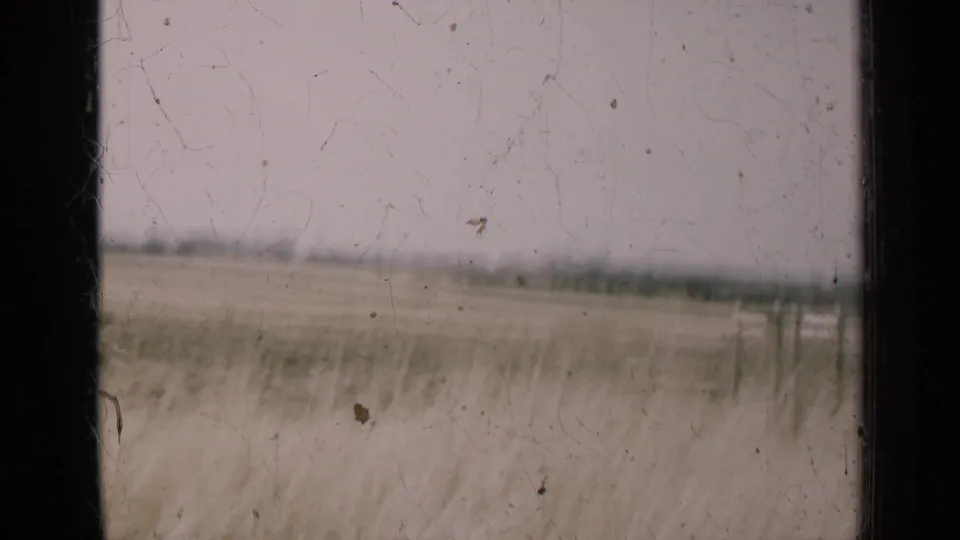 1947 Illinois rural field viewed through a window frame, with pale tall grass, flat horizon, and muted 8mm film texture.
