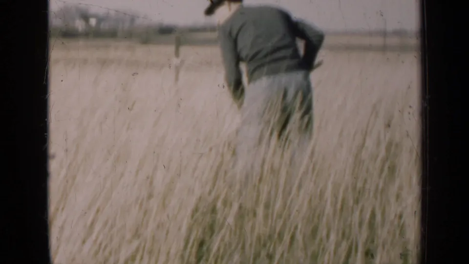 Adult man in a dark top and light trousers works in tall grass in rural Illinois, captured in soft 1947 8mm home-movie footage.