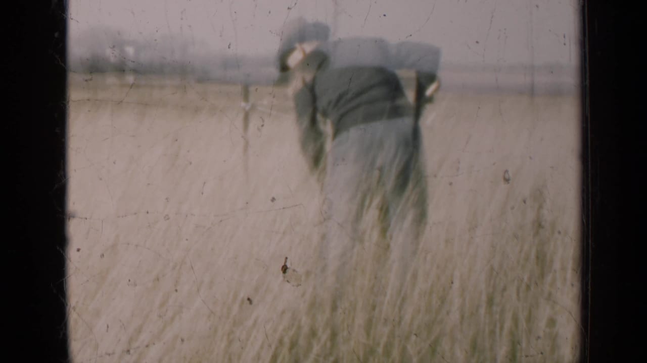 Man bending in a tall field with a tool near an open rural horizon.