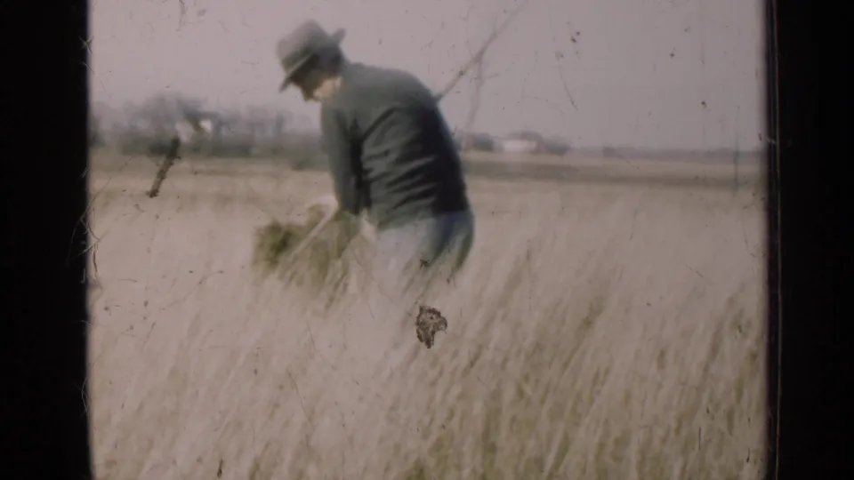1947 Illinois 8mm frame showing a man in work clothes holding cut or gathered vegetation in a rural field.