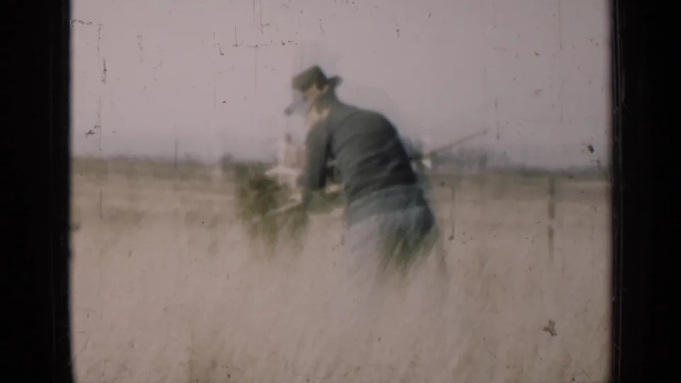 1947 Illinois 8mm frame of a man in a dark hat working among tall grain in a hazy rural field.