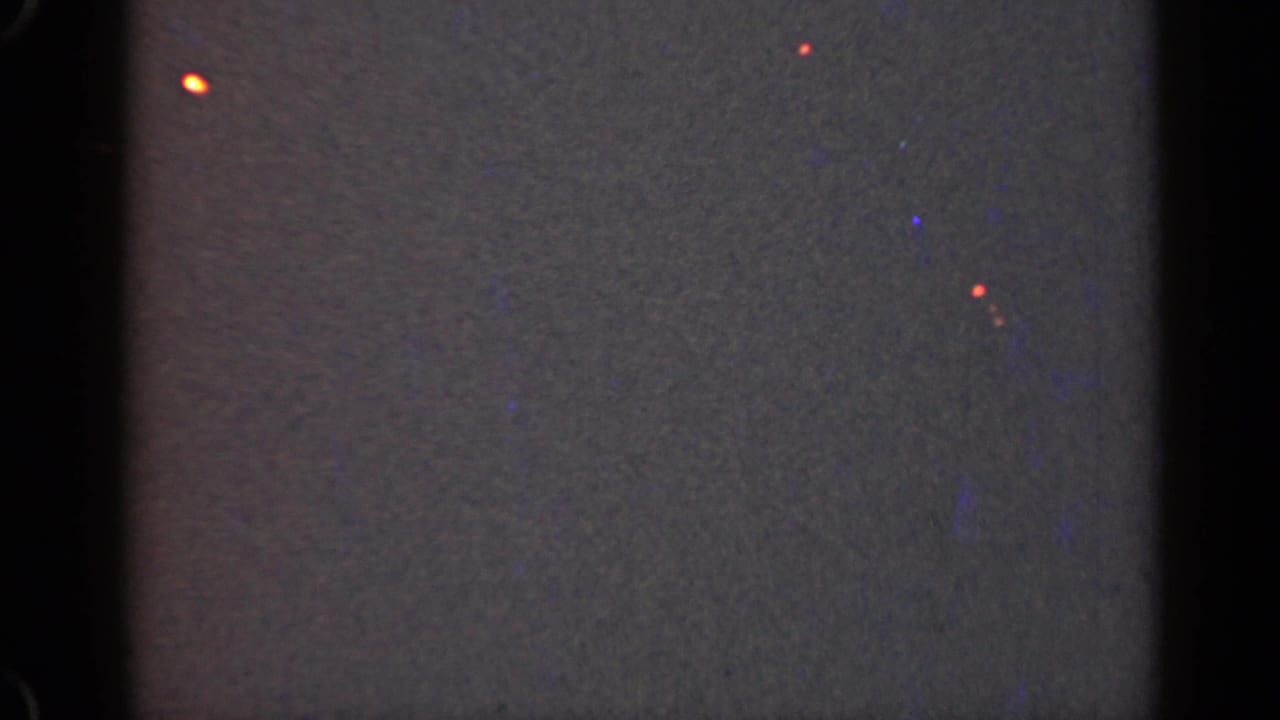 Dark grainy frame with black borders and several tiny red and orange glowing specks.