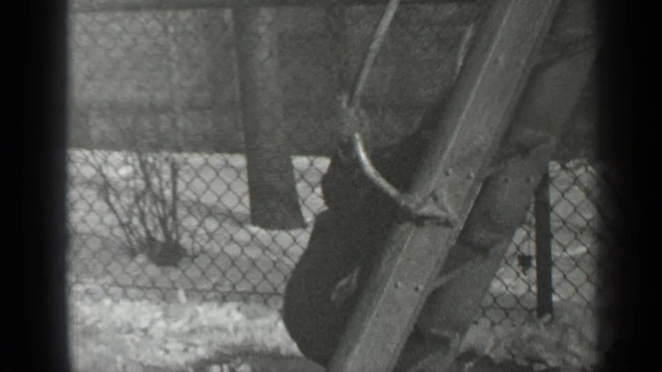 The child is partly obscured by the wooden slide structure while climbing in a snowy New York outdoor setting.