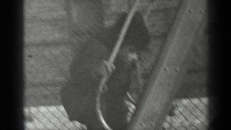 In black-and-white 1947 New York home-movie footage, a young boy climbs near a wooden play structure seen through chain-link fencing.