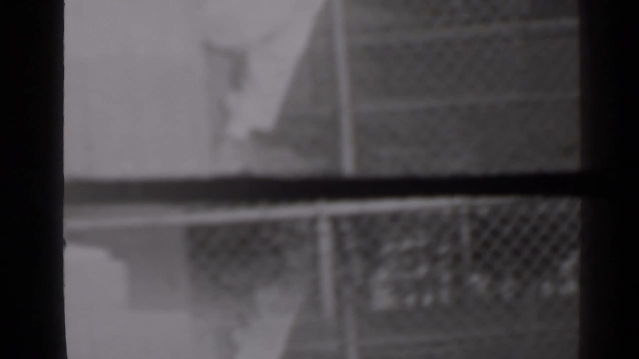 Soft black-and-white frame with a fence and vertical dark window or wall edges.