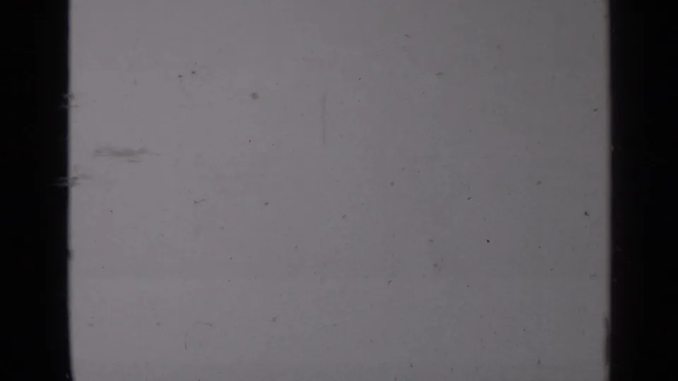 A washed, soft 8mm frame from the same park sequence shows faint silhouettes and limited detail from the leapfrog scene.