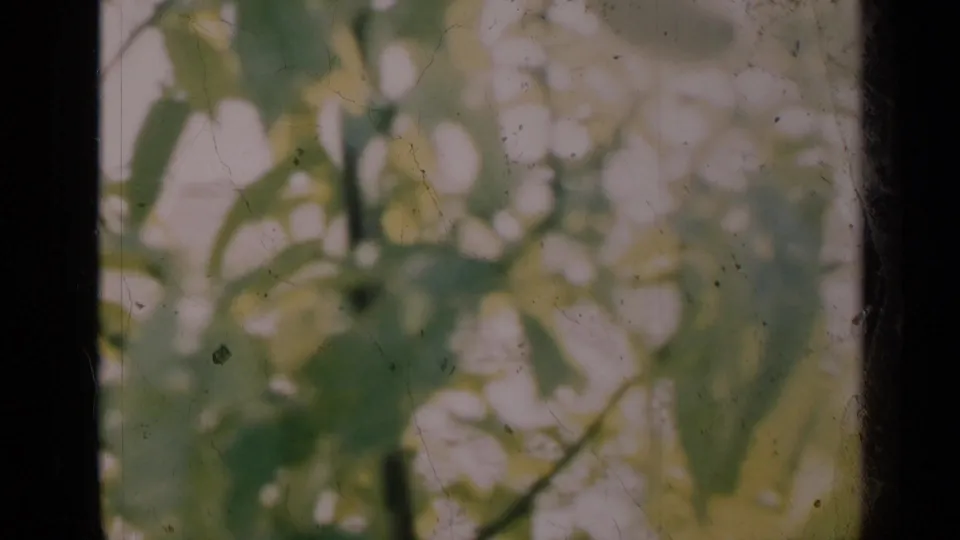 The final 8mm frame shifts to a close-up of green leaves, likely from a handheld camera movement after the pump scene.
