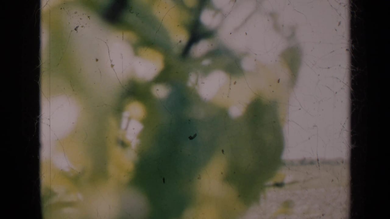Out-of-focus green leaves and yellow flowers near a dark vertical frame edge.