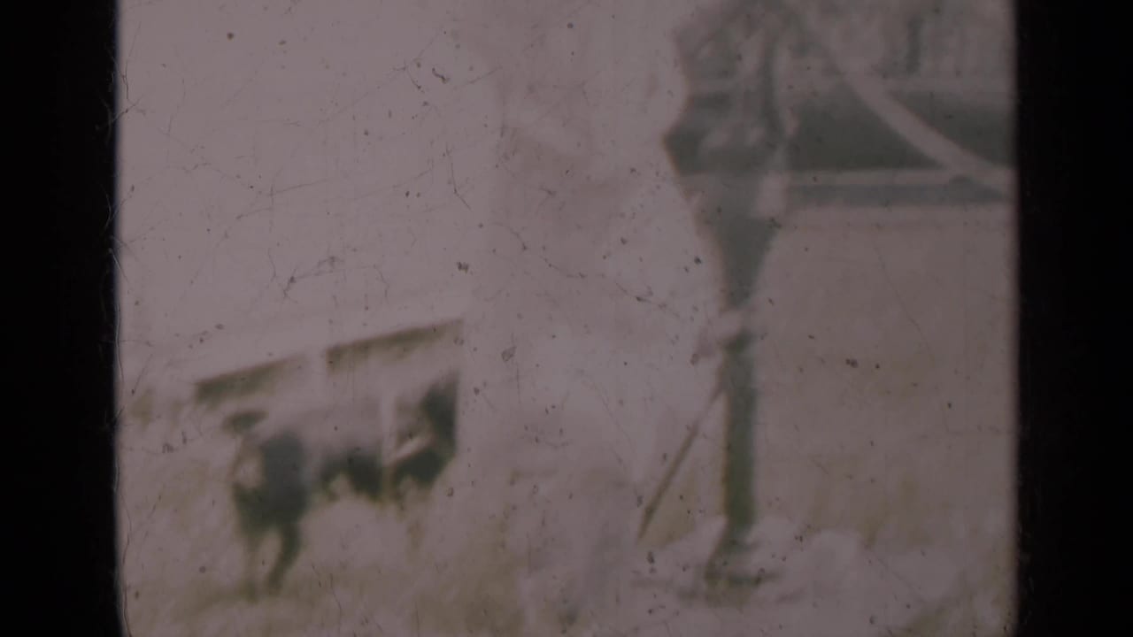 Dog standing near a hand pump and a person at the edge of the frame.
