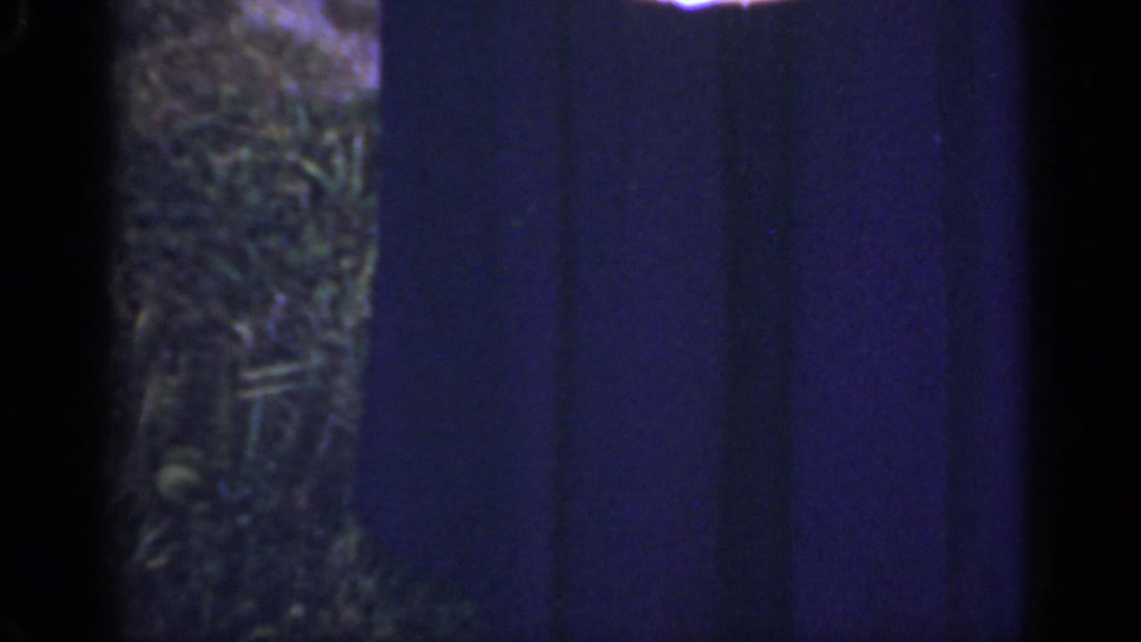 Person in a dark blue dress standing on grass, cropped from shoulders to knees.