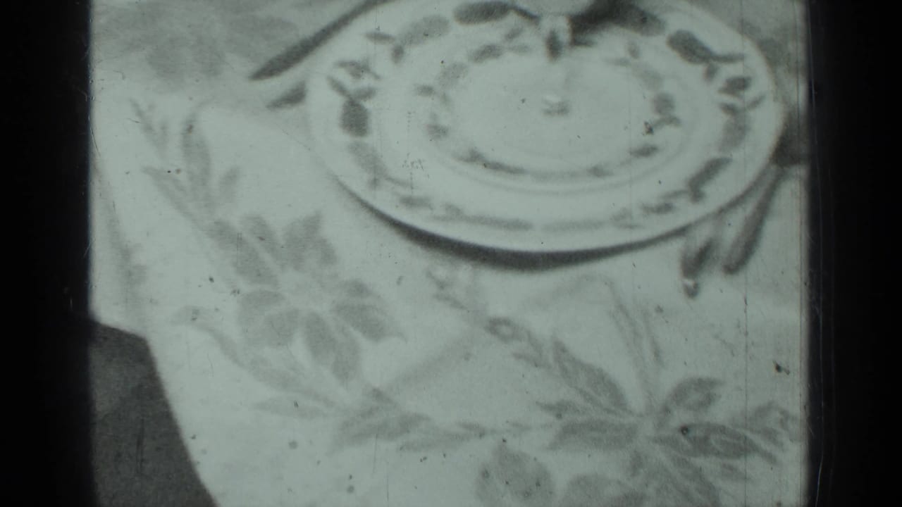 Patterned plate on a floral tablecloth, partly bordered by dark film edges.