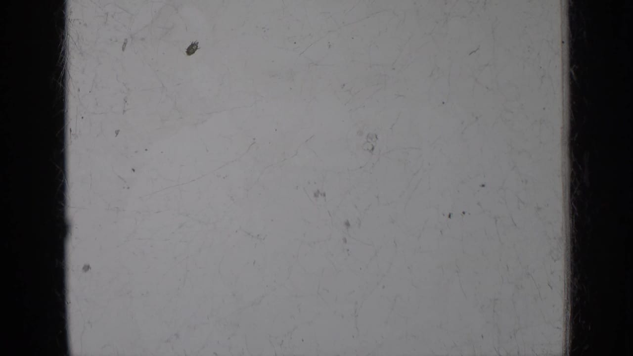 Mostly blank pale film frame bordered by dark vertical film edges with scattered dust and faint scratches.