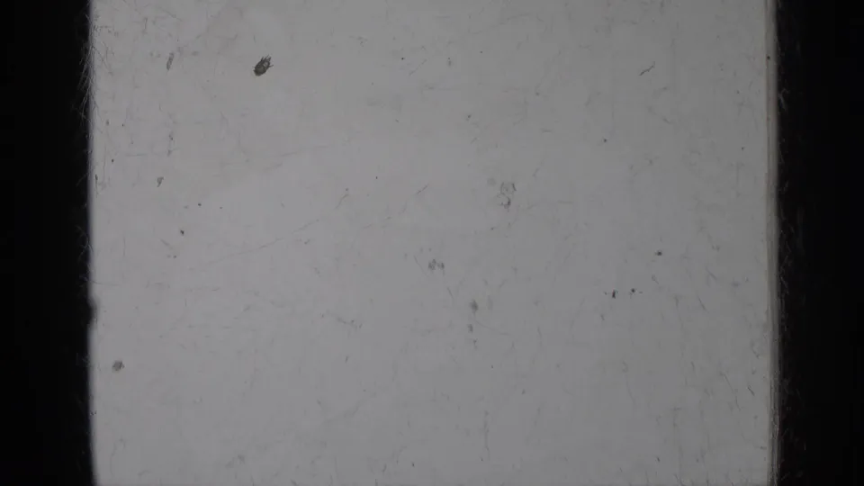 Pale 8mm film area from the supplied 1950 New York clip, framed by dark vertical edges with dust specks and faint surface abrasion.