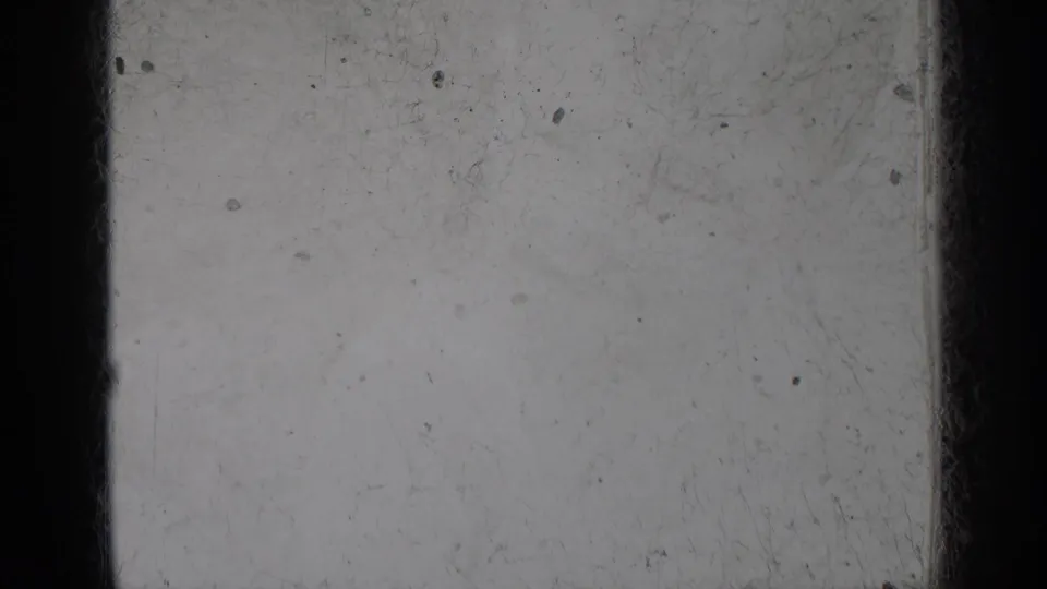 Close view of the 8mm film surface with a pale field, dark frame boundaries, dust specks, scratches, and uneven scanned exposure.