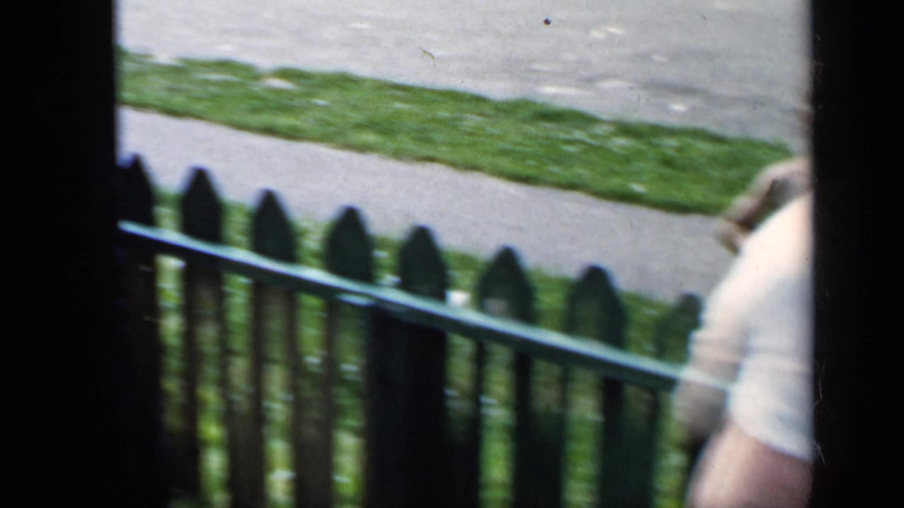 Woman partly visible near a green picket fence, sidewalk, and grass.
