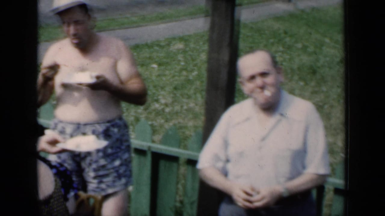 Adults standing near a green fence with plates of food on a lawn.