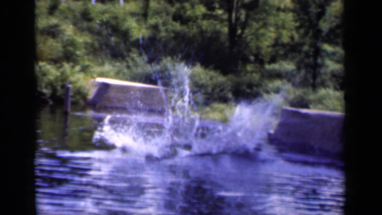 Large splash in a lake near a wooded shoreline.