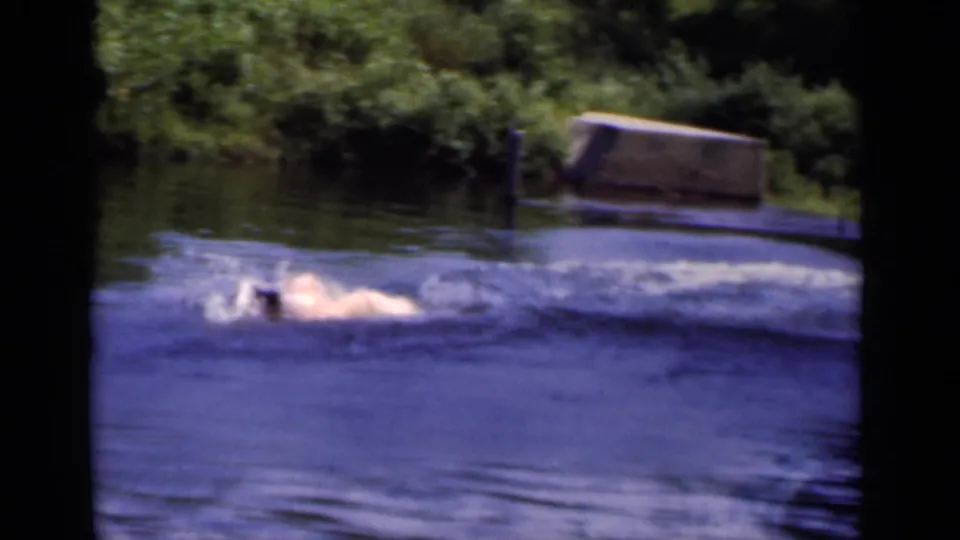 A swimmer moves through lake water while the wooded shoreline remains visible in this 1951 New York home-movie frame.