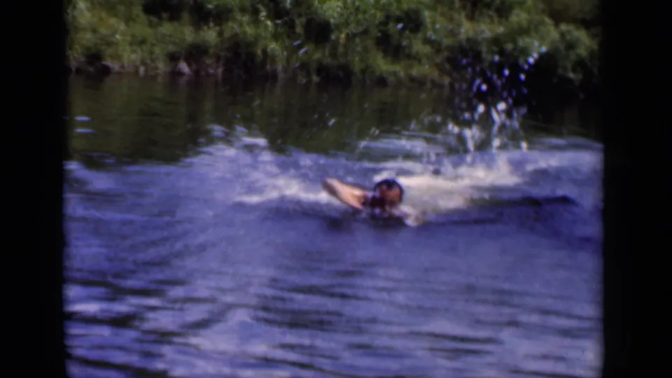 A man swims in the lake as a dog splashes nearby, with trees and rippled water visible behind them.