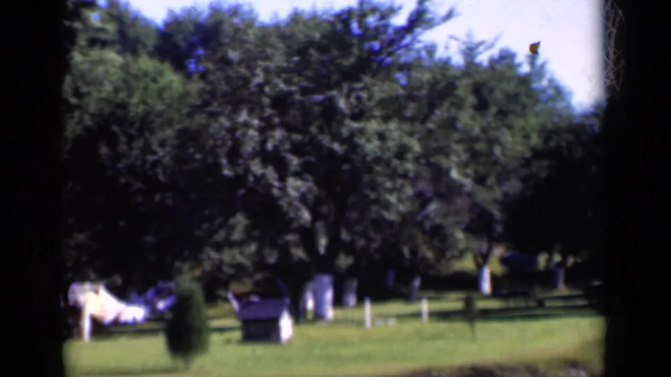 1951 New York 8mm frame looking across a grassy yard with mature trees, fence rails, and laundry at left.
