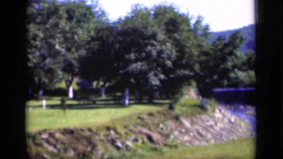 1951 New York home-movie frame showing a tree-lined lawn, low fence, and sloped grassy bank near the property edge.