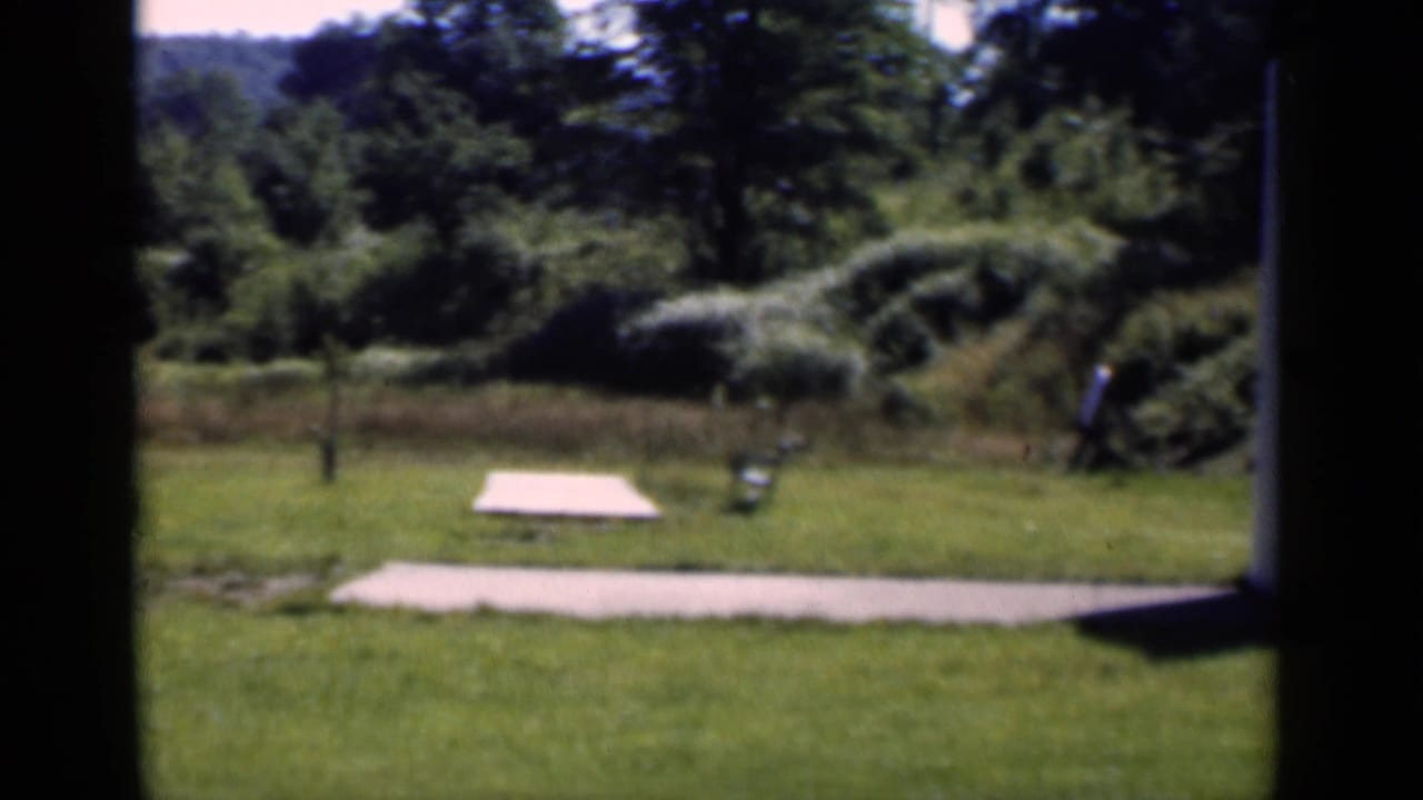 Grass lawn beside a tennis-court surface with trees and shrubs in the background.